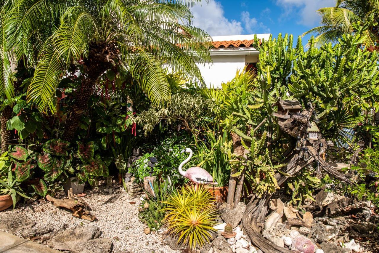 Hamlet Oasis Resort Playa Exteriör bild