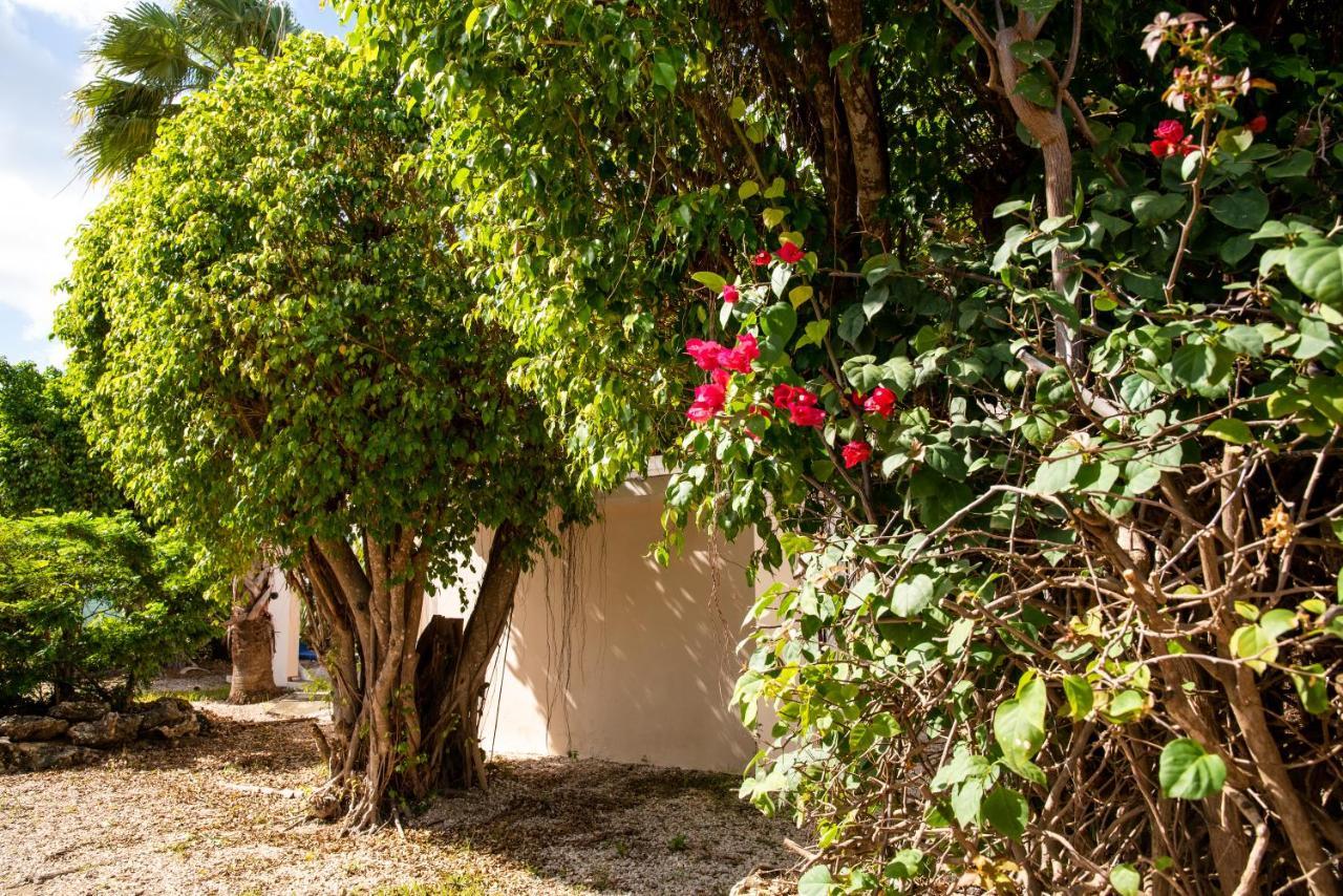 Hamlet Oasis Resort Playa Exteriör bild