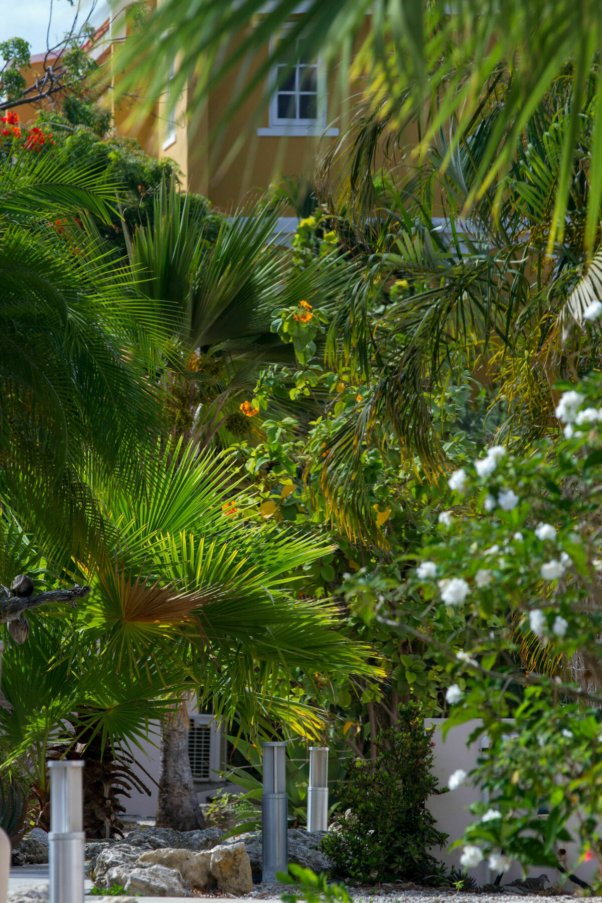 Hamlet Oasis Resort Playa Exteriör bild
