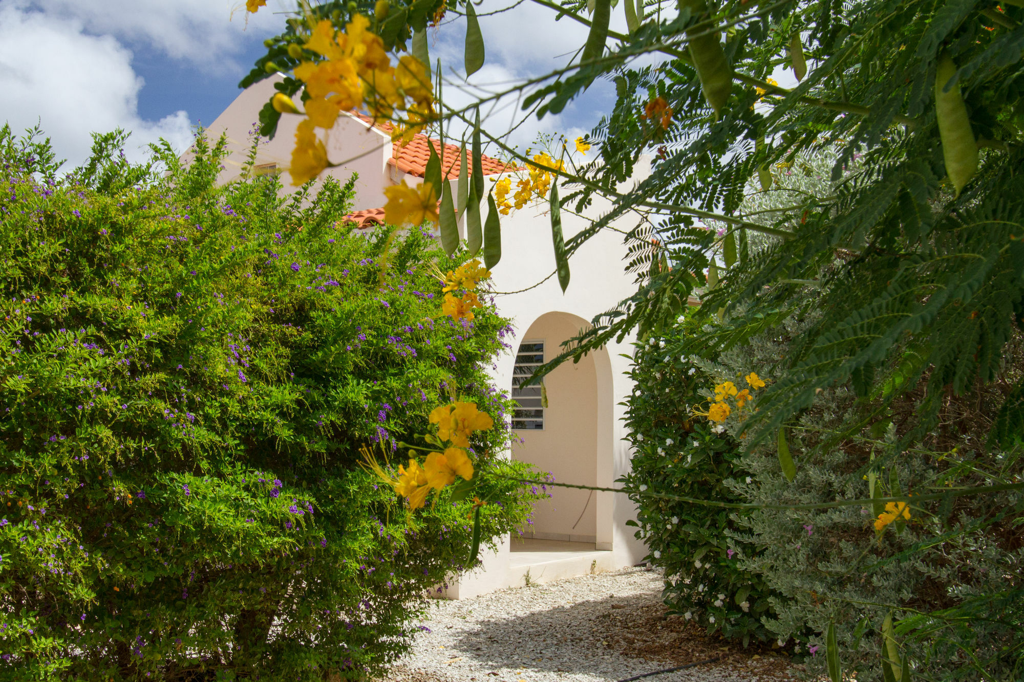 Hamlet Oasis Resort Playa Exteriör bild